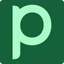 Paved icon